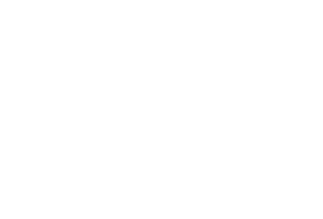 Logo CIIQ